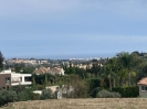 view (2)