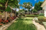 garden (2)