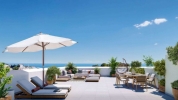 terrace (3)