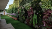 outdoor (3)