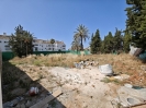 Plot (1)