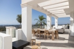 TERRACE (3)