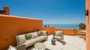 terrace (7)