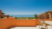 terrace (8)