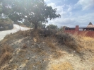 PLOT (4)