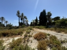 Atalaya de Rio Verde (1)
