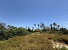 Atalaya de Rio Verde (4)