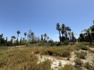 Atalaya de Rio Verde (5)