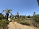 Atalaya de Rio Verde (6)