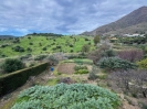 Land Garden2