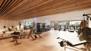 Gymnasio