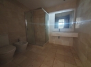 Basement bathroom