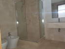 Bathroom in Basement2