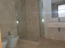 Bathroom in Basement2