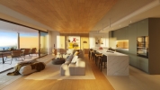 Living room-Kitchen
