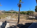 Comercial plot (18)