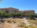 Comercial plot (29)