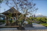 Garden 2
