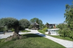 Garden 5
