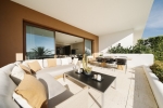 Terrace 4