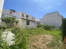 PLOT (3)