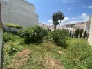 PLOT (8)