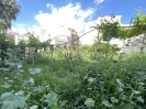 PLOT (9)