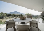 Terrace 5