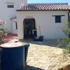 Finca 4