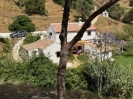 Finca 8