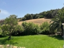 Garden 1