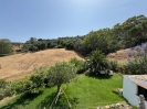 Garden 2