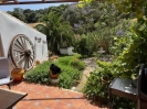 Garden 3