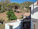 plot 1