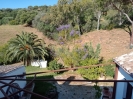 Plot 3