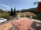 Terrace 1