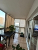 TERRACE (1)