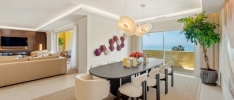 dining area (2)