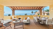 terrace (4)